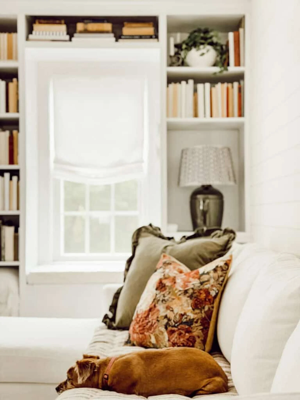 Weekly Wednesday Wish List #270: Cozy Fall Finds I’m Loving