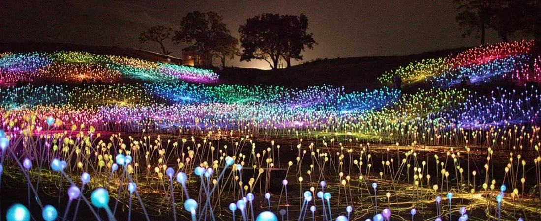 7 Unique Things to Do in San Luis Obispo County