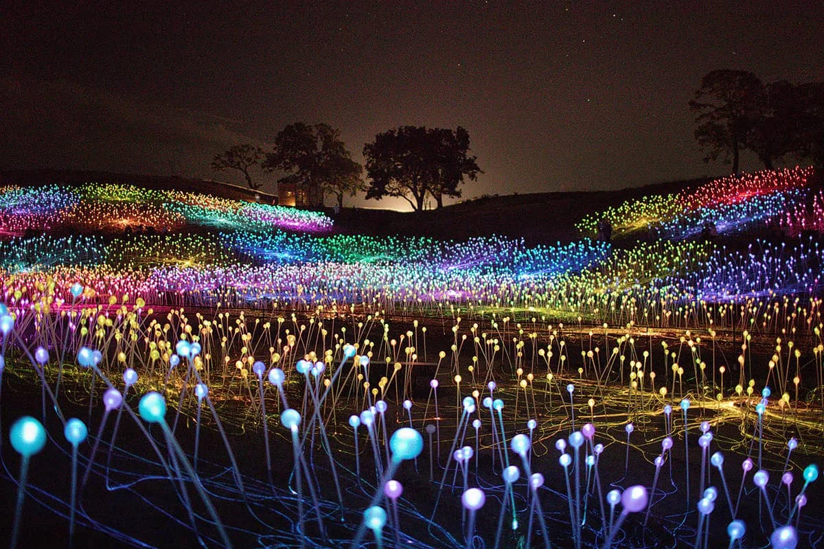 Glowing light bulbs at Sensorio Field of Light