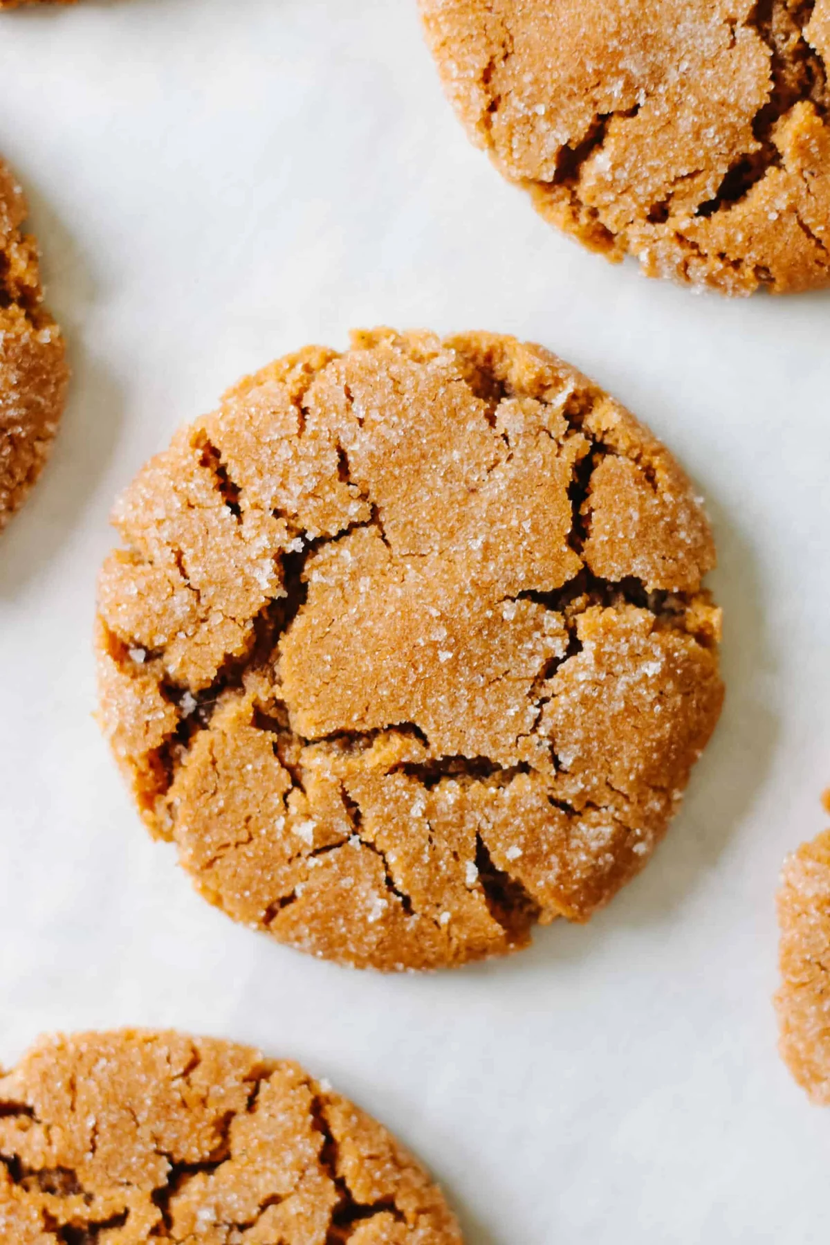 Soft molasses cookies with crackled sugar-coated surfaces