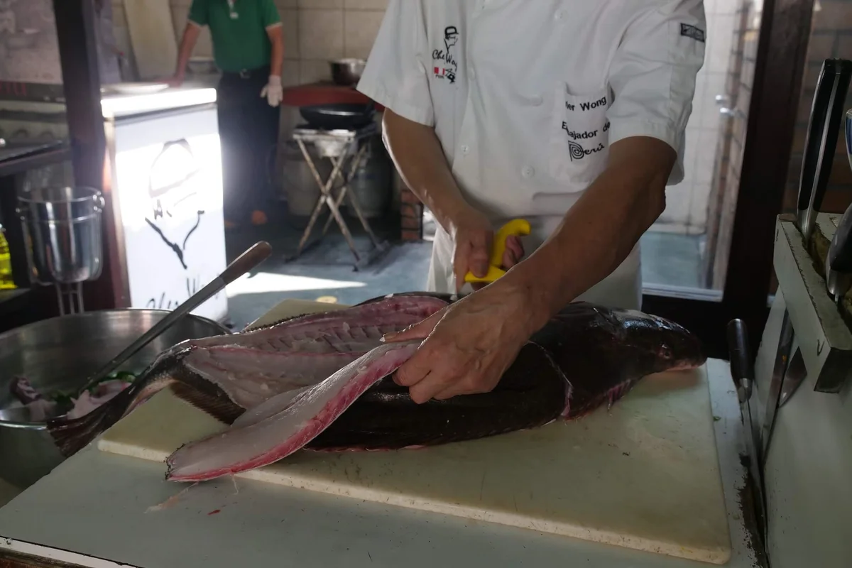 Chef hands filleting large Dover Sole fish
