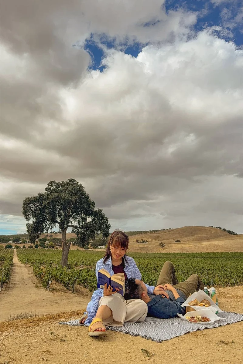 E-bike picnic overlooking Cass Winery vineyards