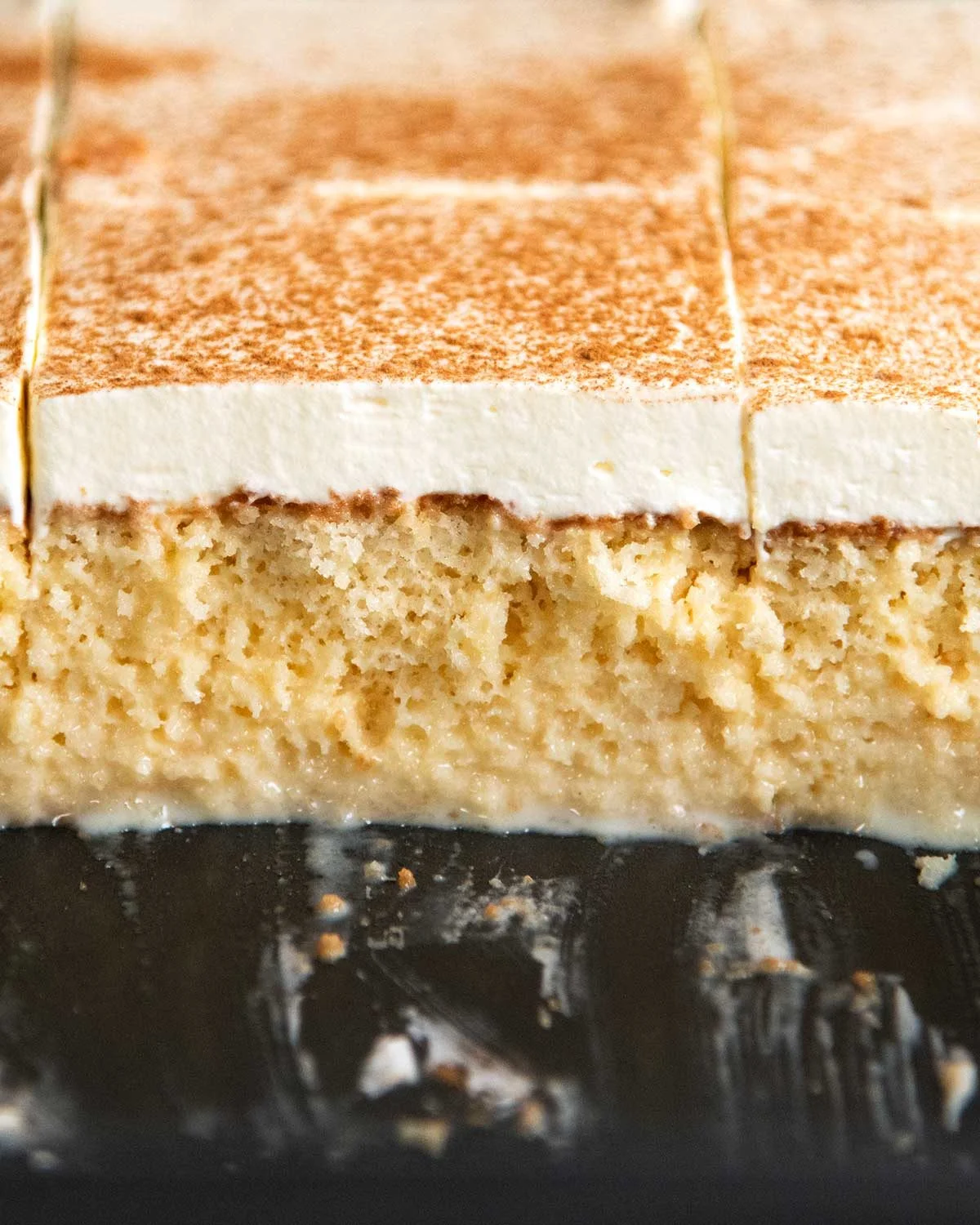 Sliced tres leches cake cross-section with whipped cream and cinnamon dusting